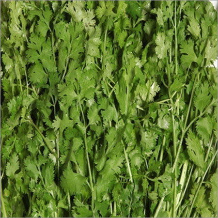 Coriander Seeds