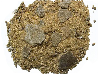 फीड सप्लीमेंट्स