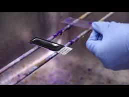 जिमेसा एस स्टेन