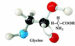 Glycine - Premium Quality Synthetic Fiber | Lightweight, Quick-Drying, Breathable