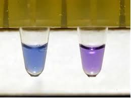 Hydroxy Napthol Blue