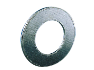 Flexible Graphite Gasket
