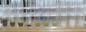 N a Phenylanthranilic Acid