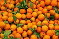 ताजा वालेंसिया संतरे