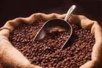 कॉफी बनाने और औद्योगिक उपयोग के लिए कॉफी बीन्स