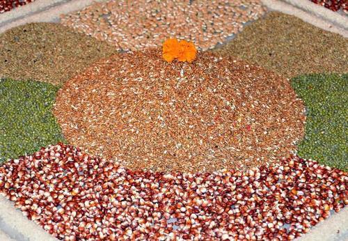 Organic millets