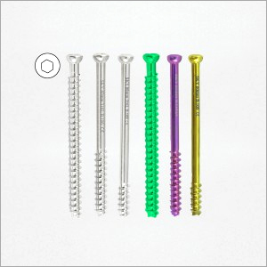 सिल्वर सीसी स्क्रू