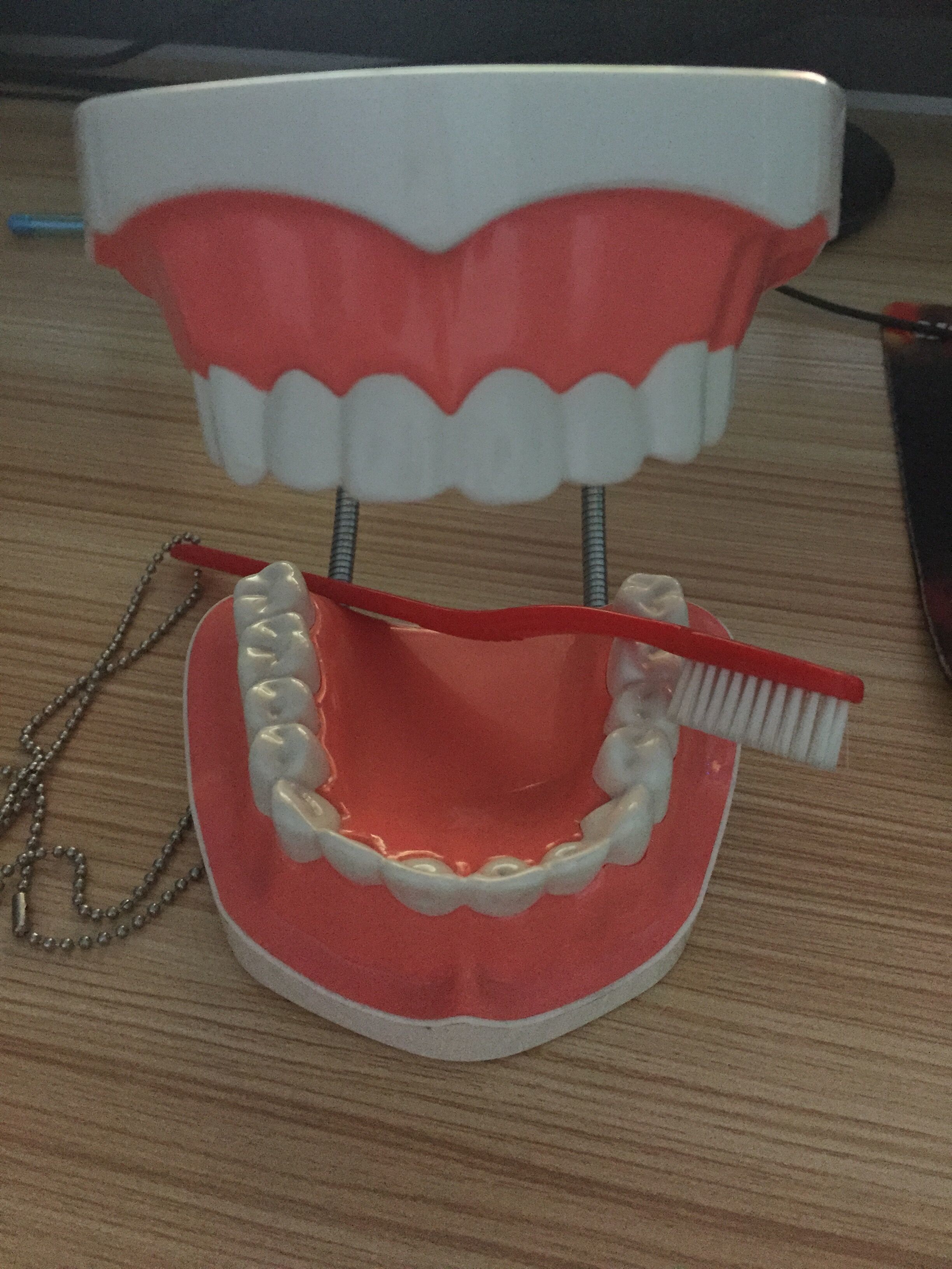 Tooth Brush Model