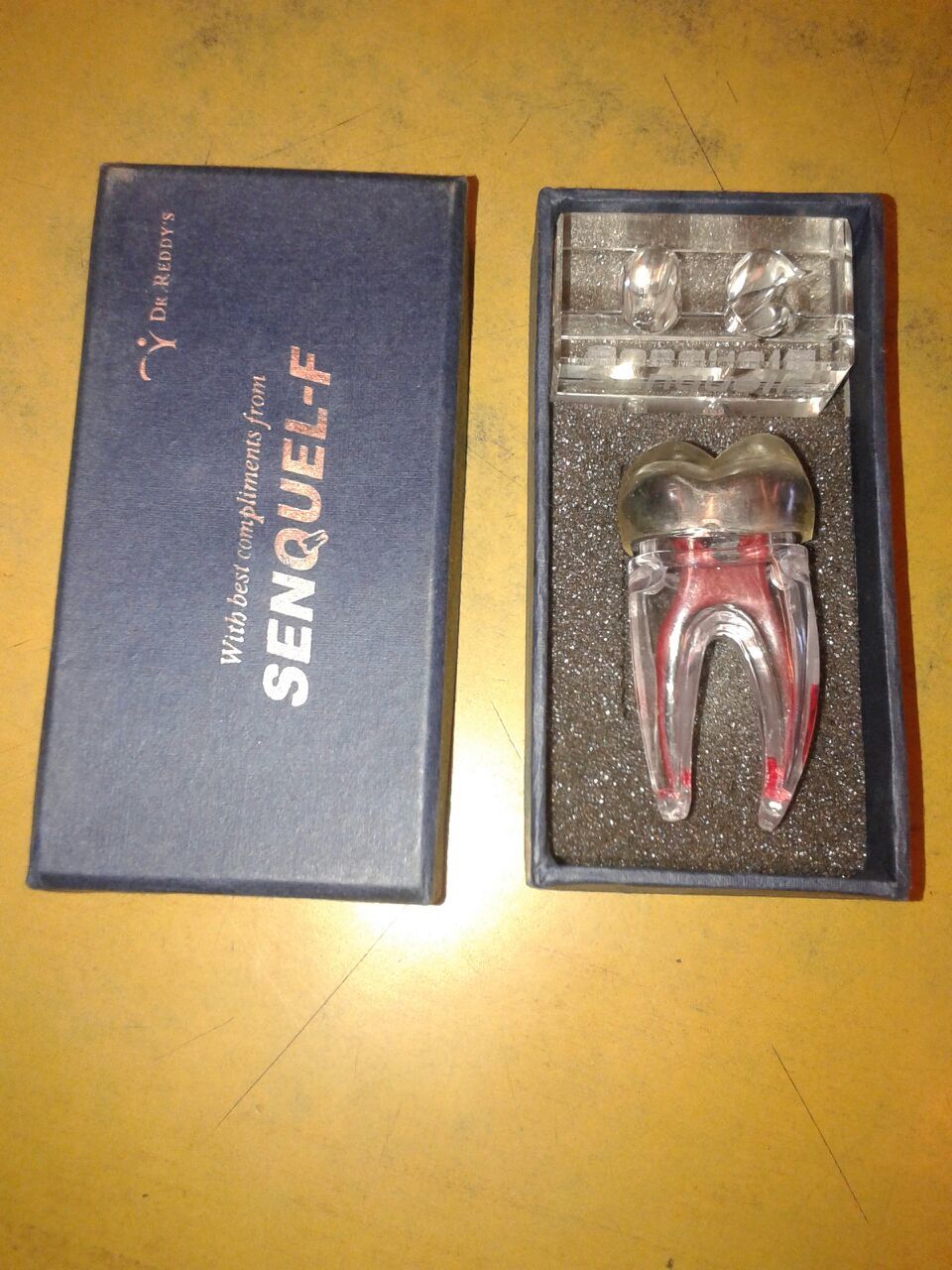 3d Tooth Model - Plastic/resin, Clear Color | Accurate Anatomy, Durable, Detailed Educational Tool