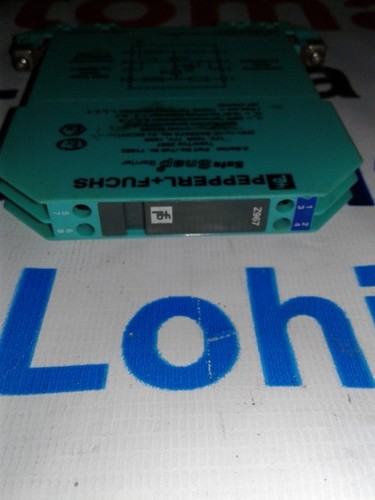 पेपरल + फुच्स