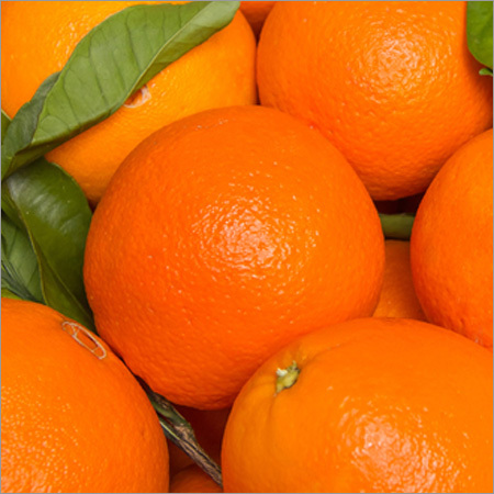 ताज़े नाभिकीय और वलेंशिया संतरे