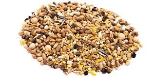 Poultry Feed