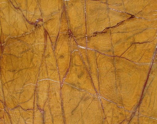 रेनफॉरेस्ट गोल्डन एंटीक फिनिश मार्बल