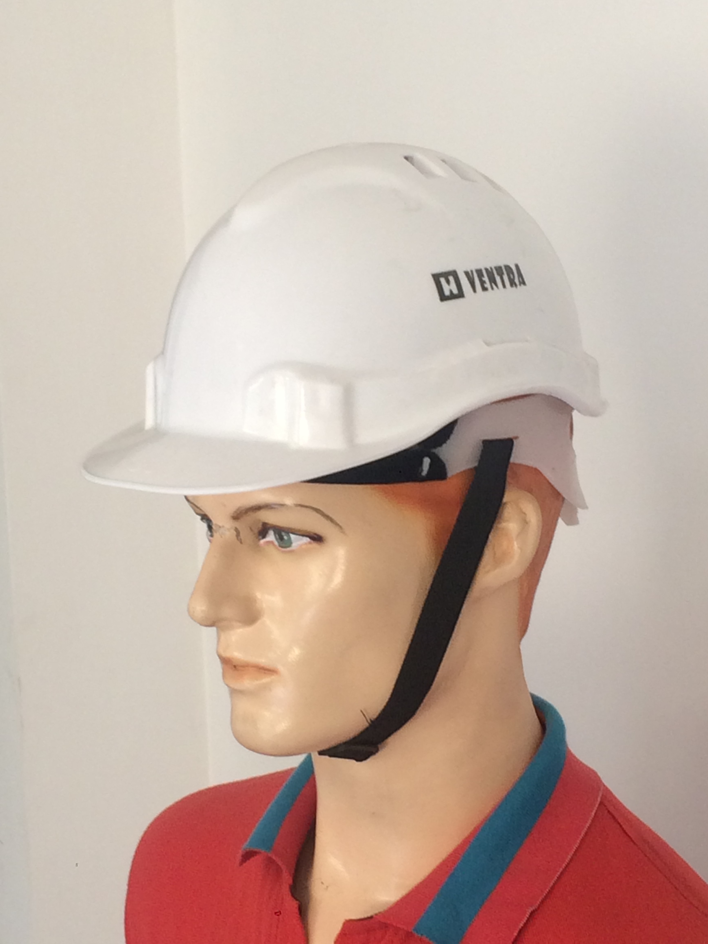 Work Safety Helmets