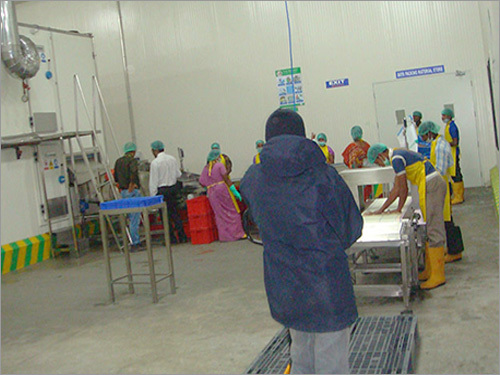 Vegetable Grading sorting Packing line