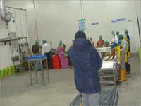 सब्जी ग्रेडिंग छंटाई पैकिंग लाइन