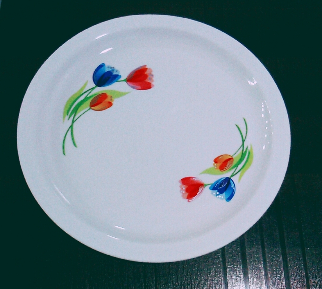 Round Catering Plates