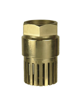 Foot Valve