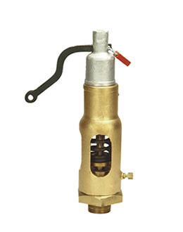 Safety Valve