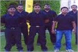 सुरक्षा पर्यवेक्षक