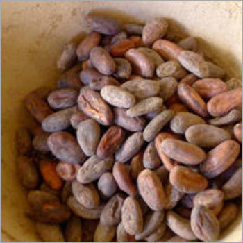 कच्चे कोको nibs