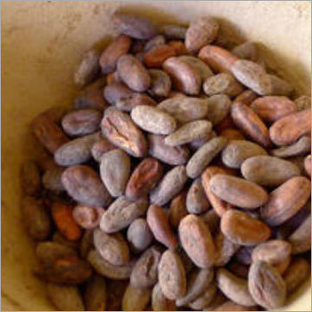 कच्चा कोको पाउडर