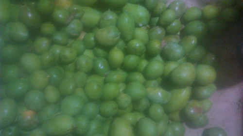 कच्चा आम