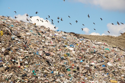 Solid Waste Management