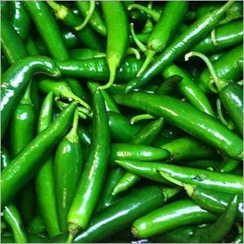 हरी मिर्च