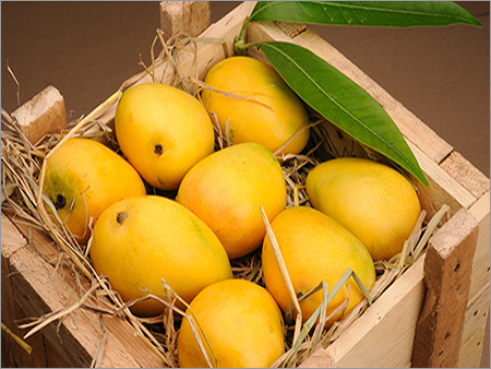 Mango Packing Boxes