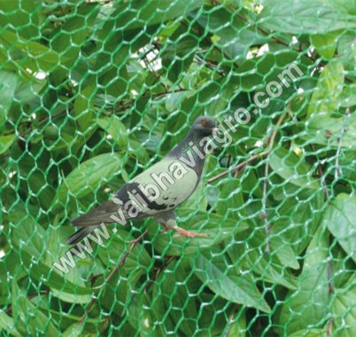 Anti Bird Net - Coated Poly Material , Durable and Lightweight Bird Protection Solution