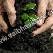 Bajaj Organic Mahashakti - Premium Organic Manure for Soil Fertility, Enhances Nutrient Retention and Soil Structure, Boosts Microbial Activity and Plant Growth