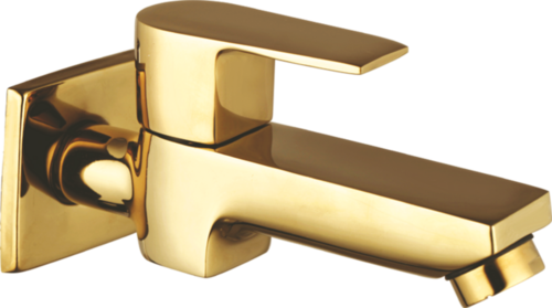 लंबा शरीर