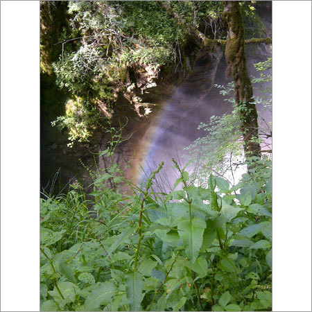 Kullu Manali Tour Packages