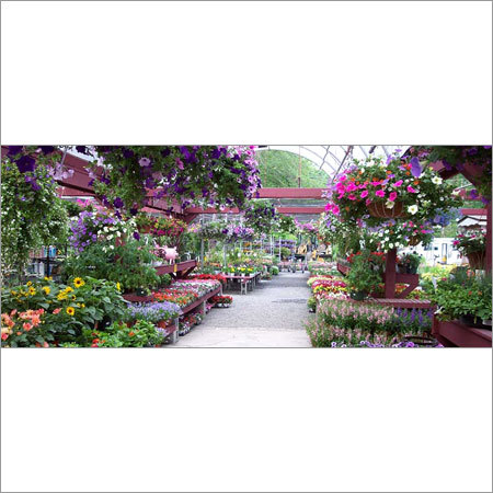 Kalimpong Sightseeing Tour Packages