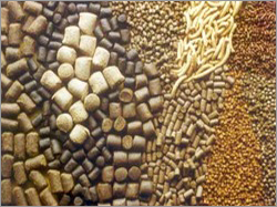 प्राकृतिक पशु चारा