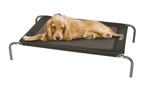 Iron dog bed