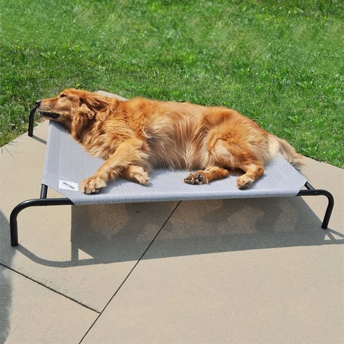dog bed