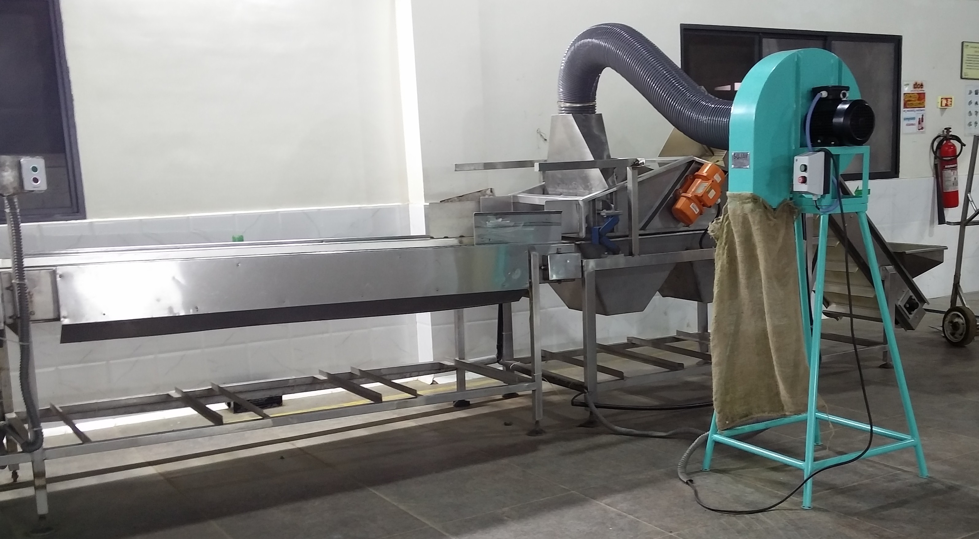 Gherkin Bulk Line Processing Machinery