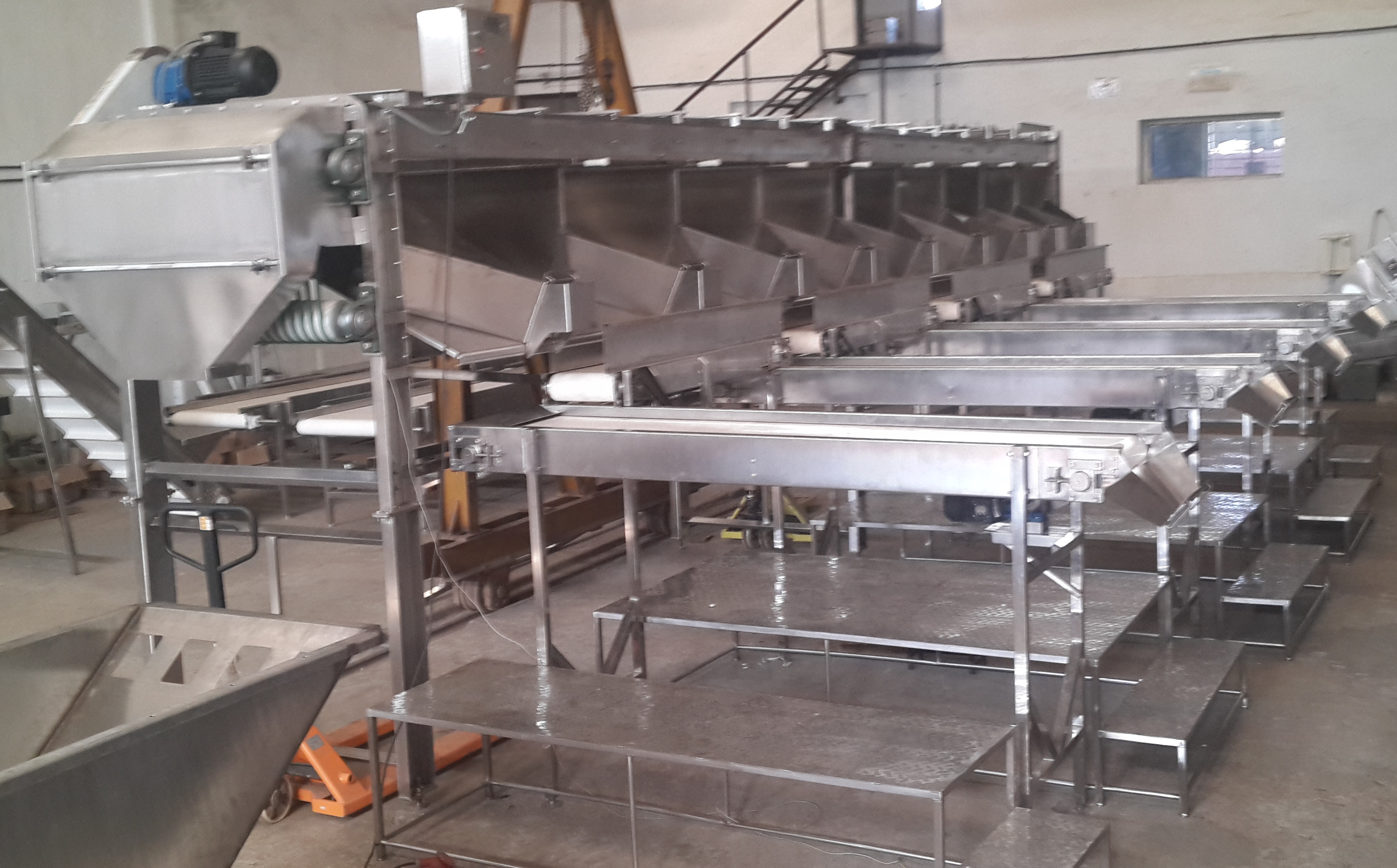 Gherkin Bulk Line Processing Machinery