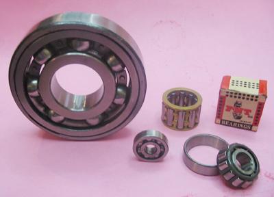 FNT Bearings