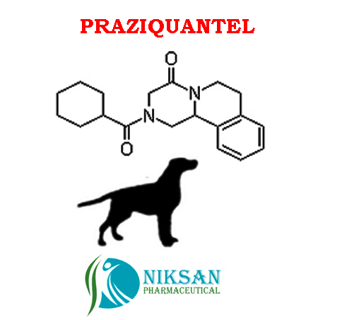 Pr Aziquantel - Boiling Point: 544.1 A C