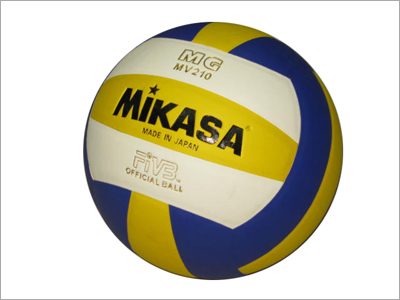 वॉलीबाल