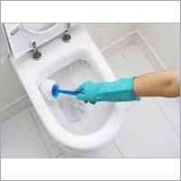 Toilet Bowl Cleaner