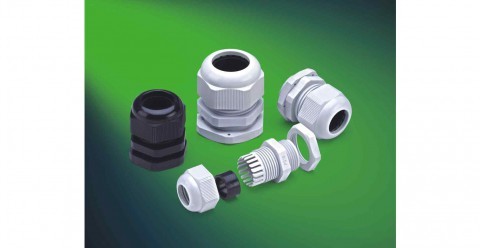 इनसोल पीजी ग्लैंड्स