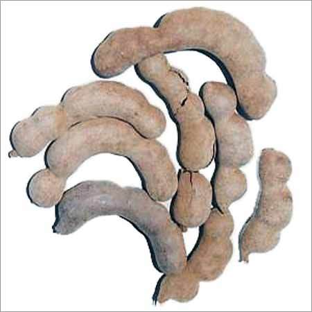 ताजा इमली की फली