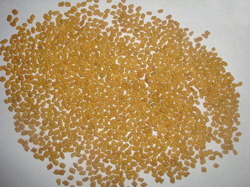 Fenugreek Seeds - Premium Quality, Nutrient-Rich Herbal Spice for Culinary and Medicinal Use