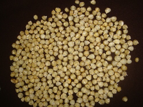 Small White Maize - Hygienically Processed, 99% Purity, Fresh Natural Solid Texture, Ideal for Human and Animal Consumption - Nutrient-Rich, Adulteration Free