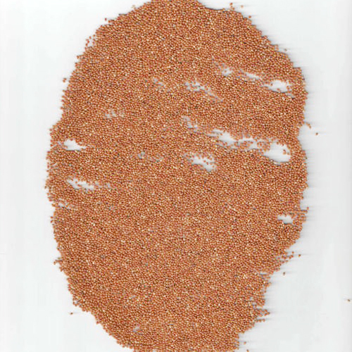 Red Millet - Nutrient-Rich Whole Grain | Ideal for Gluten-Free Diets, Packed with Protein and Fiber