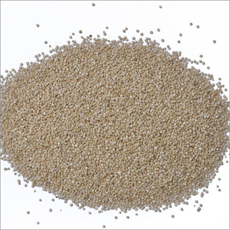 Quinoa